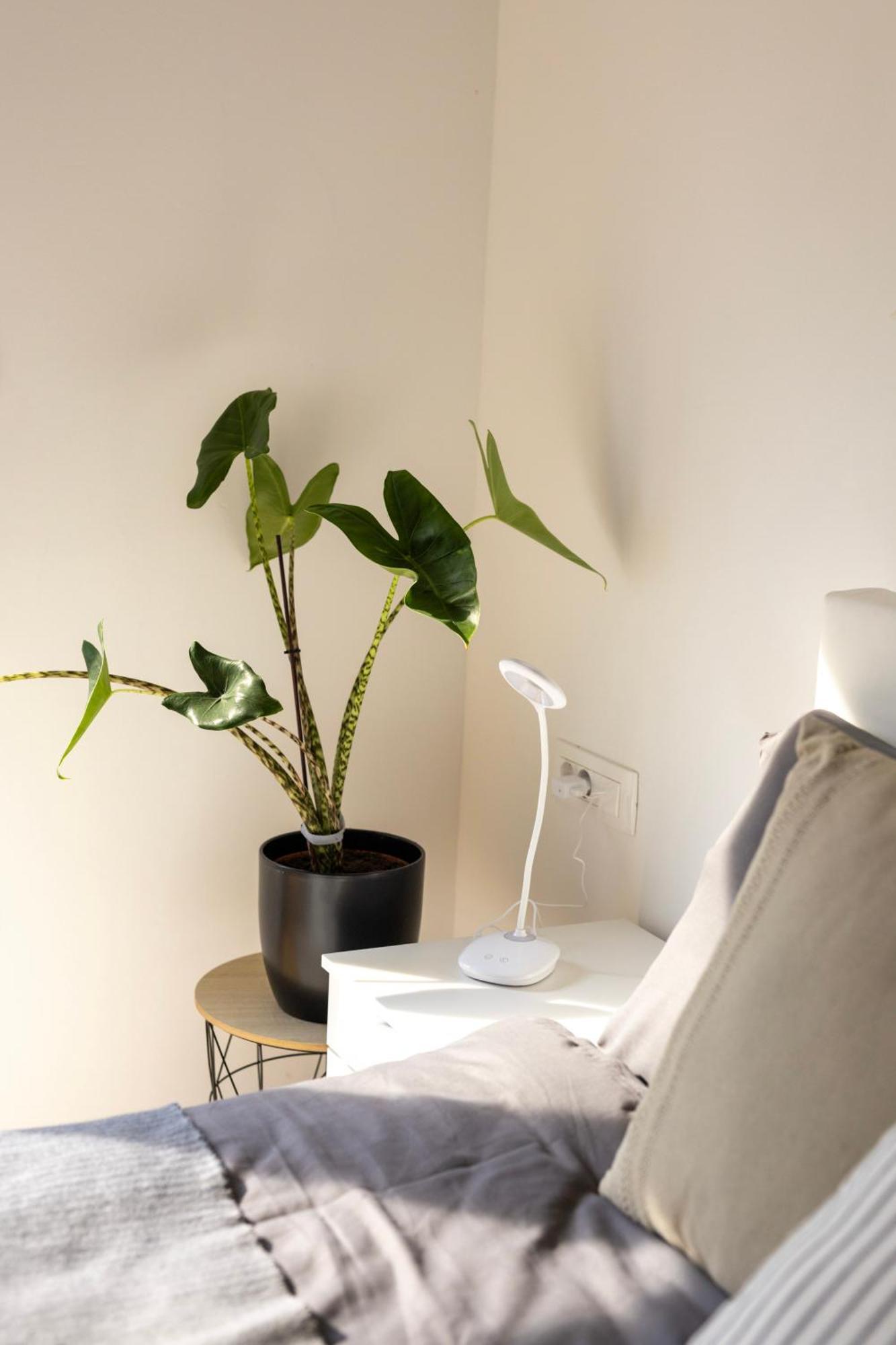Aura Apartments ゴレンスカ地方 エクステリア 写真